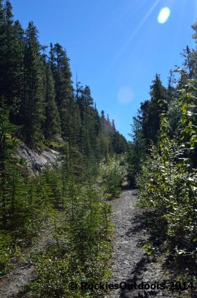 Cosmic Ray Station Road