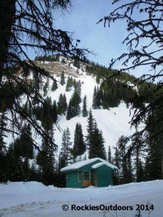 LLSA Horse Coral Cabin