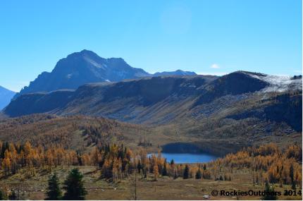 The view from Healy Pass
